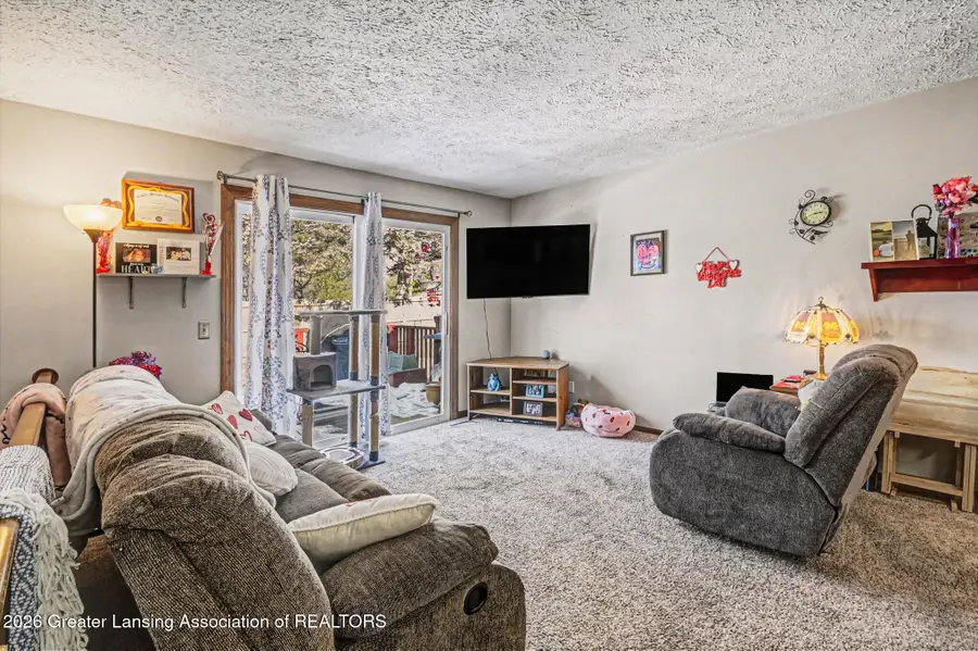 1114 N Chimney Hill Drive, Dewitt, MI 48820 - #3