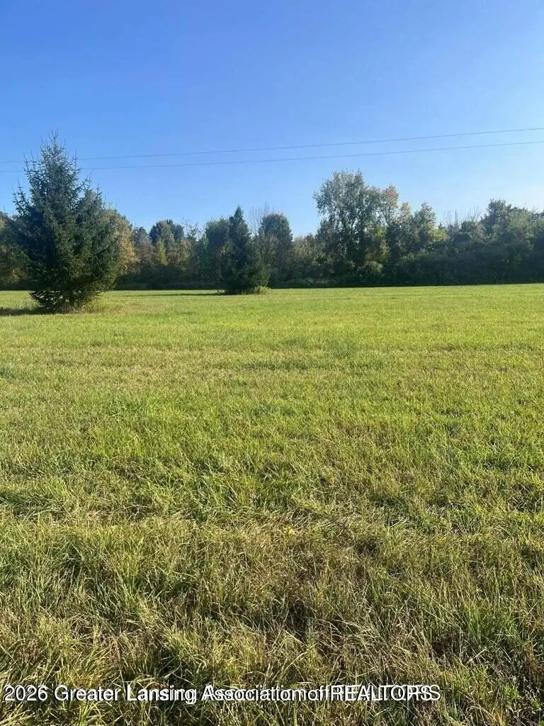 V/l W Tyrrell Road, Owosso, MI 48867 - #3