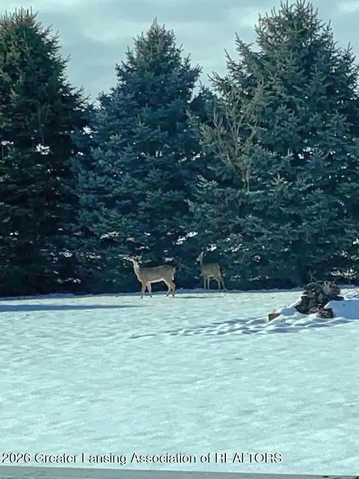 841 N Warren Road, Ovid, MI 48866 - #3