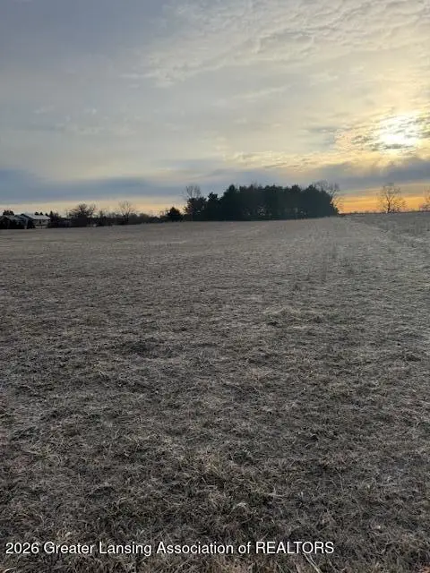 0 S Watson Road, St. Johns, MI 48879