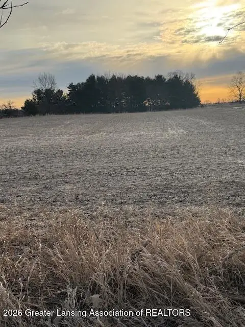 0 S Watson Road, Saint Johns, MI 48879 - #2