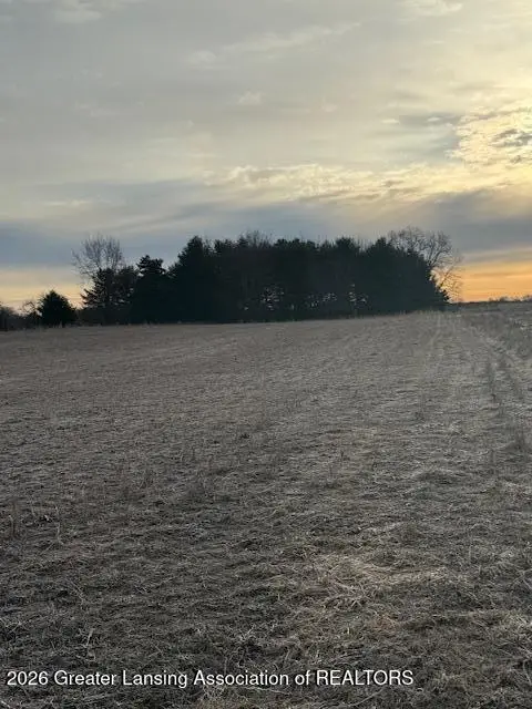 0 S Watson Road, Saint Johns, MI 48879 - #3
