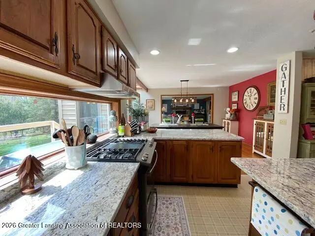 704 Larchmont Street, Dewitt, MI 48820 - #2