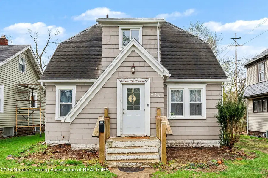 239 W Palmer Avenue, Jackson, MI 49203 - #2