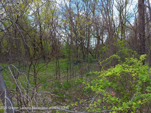 343 Dolores Drive, Pleasant Lake, MI 49272