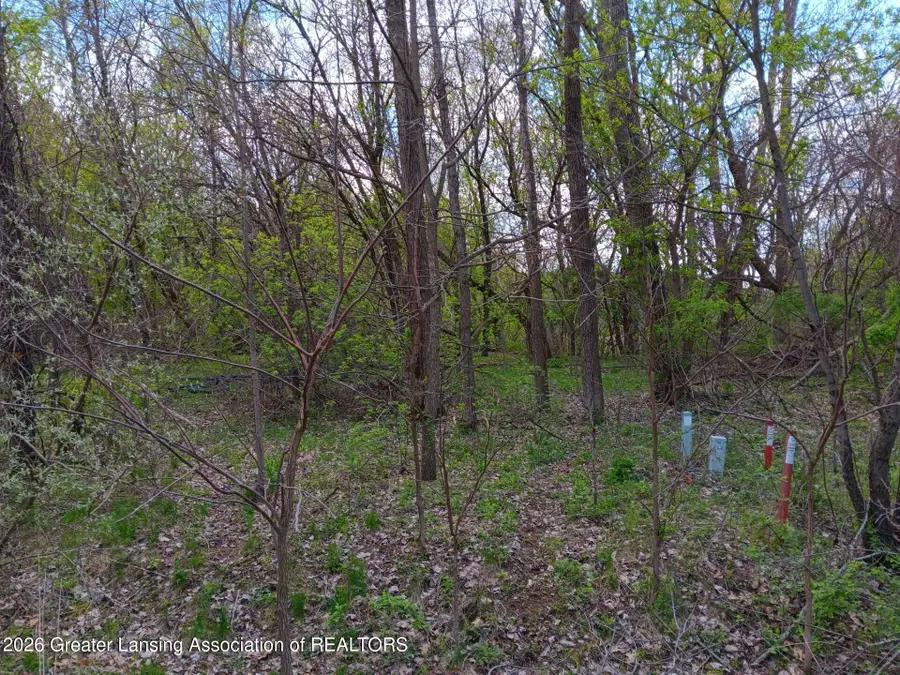 343 Dolores Drive, Pleasant Lake, MI 49272 - #2