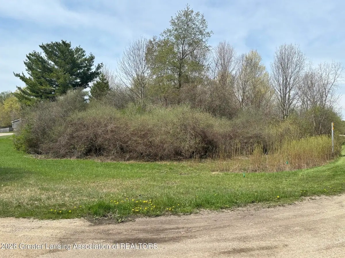 V/l Lakeside Drive/ Spruce Trail, Perrinton, MI 48871 - #1