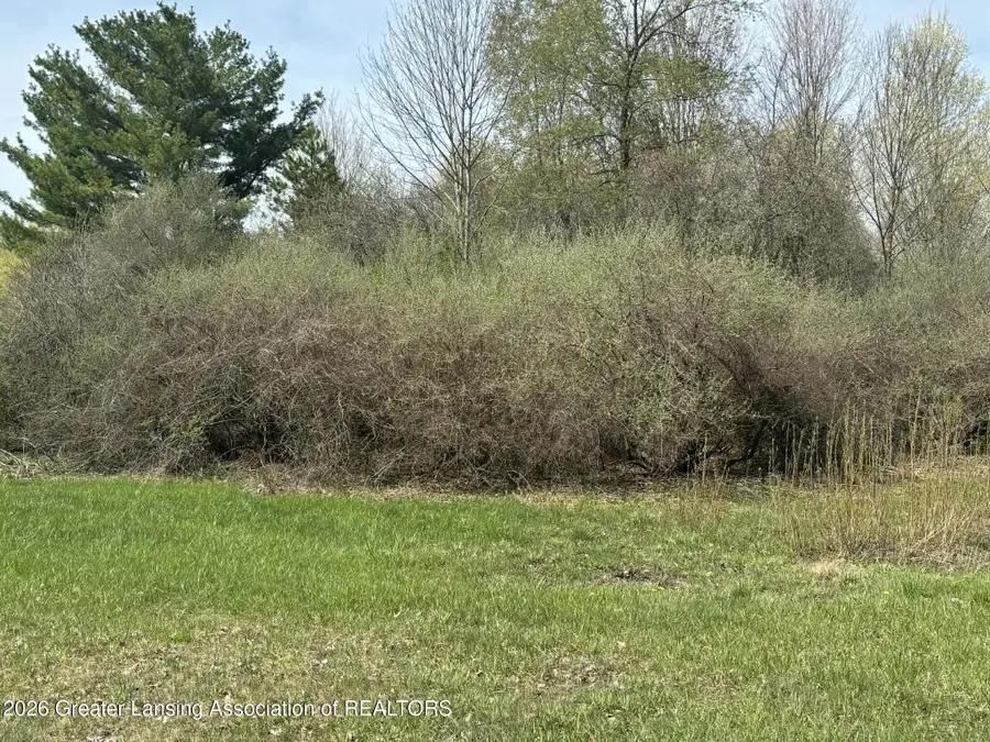 V/l Lakeside Drive/ Spruce Trail, Perrinton, MI 48871 - #3
