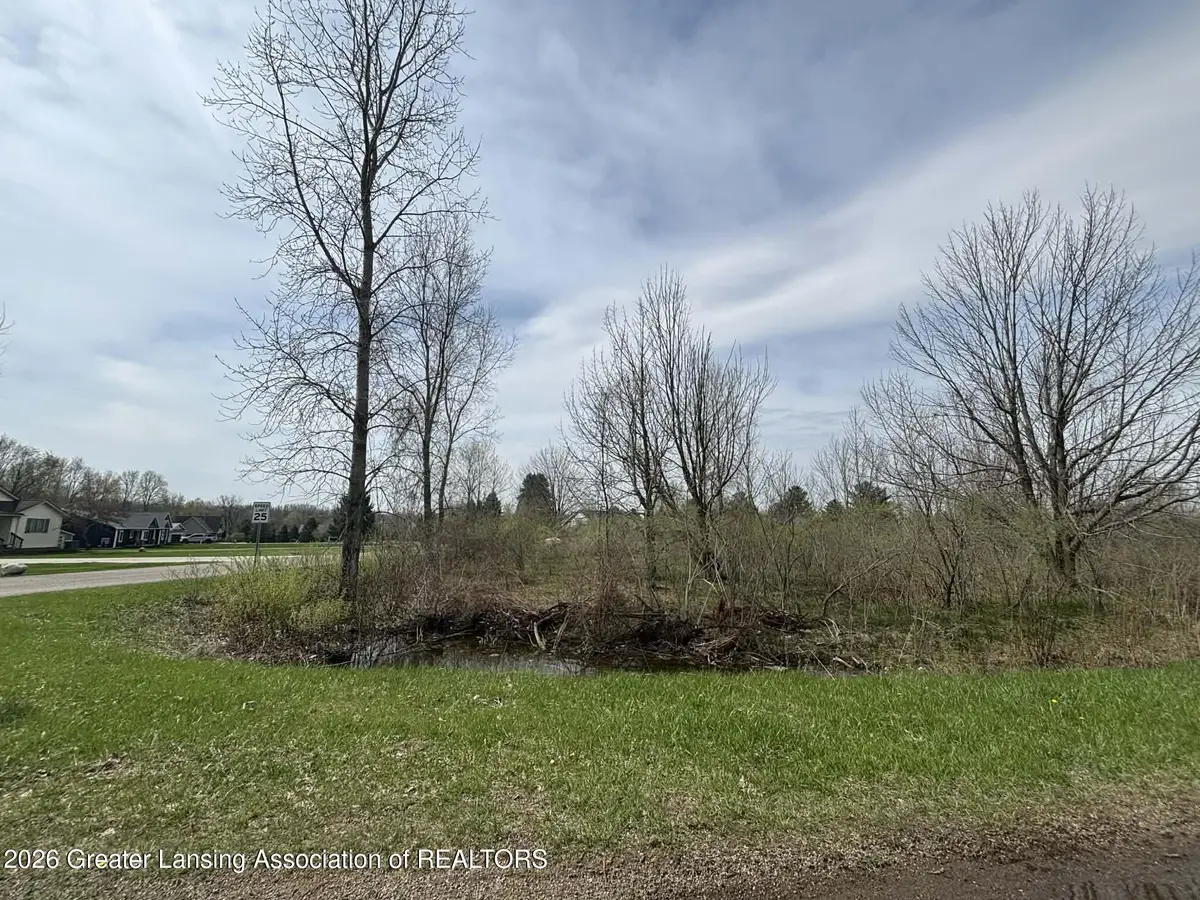 V/l Lakeside Drive/ Spruce Trail, Perrinton, MI 48871 - #1