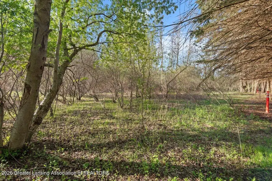 00 Woodlawn Court, Perrinton, MI 48871 - #3
