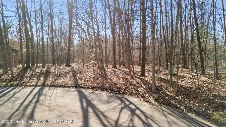 4269 Shadow Ridge, Okemos, MI 48864 - #2