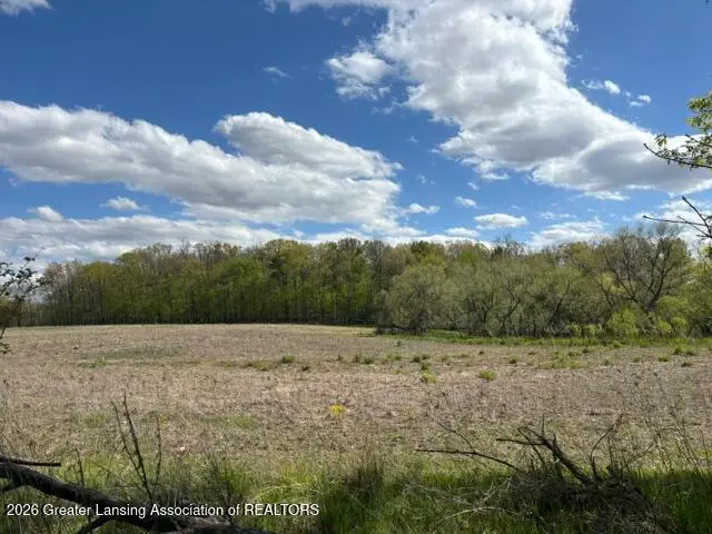 0 W Jason Road, Dewitt, MI 48820 - #1