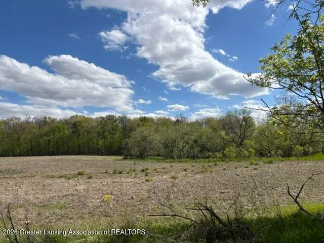 0 W Jason Road, Dewitt, MI 48820 - #2