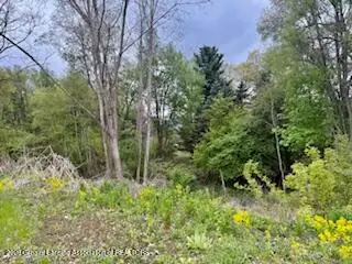 5521 Timothy Lane, Bath, MI 48808 - #1