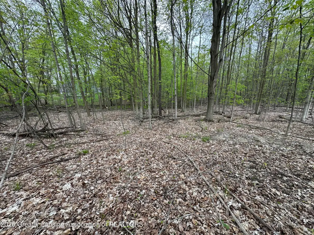 0 Thornapple Drive, Perrinton, MI 48871 - #1