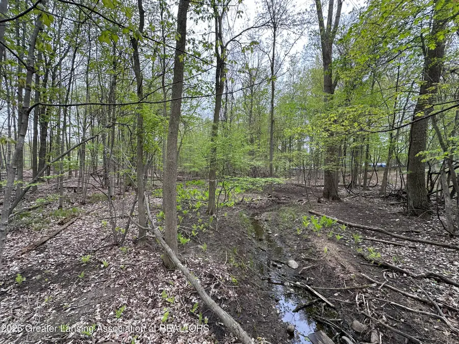 0 Thornapple Drive, Perrinton, MI 48871 - #3