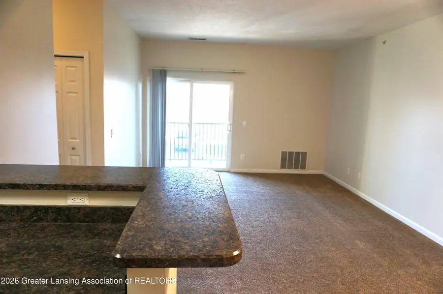 15136 Via Carmella Drive, Dewitt, MI 48820 - #2