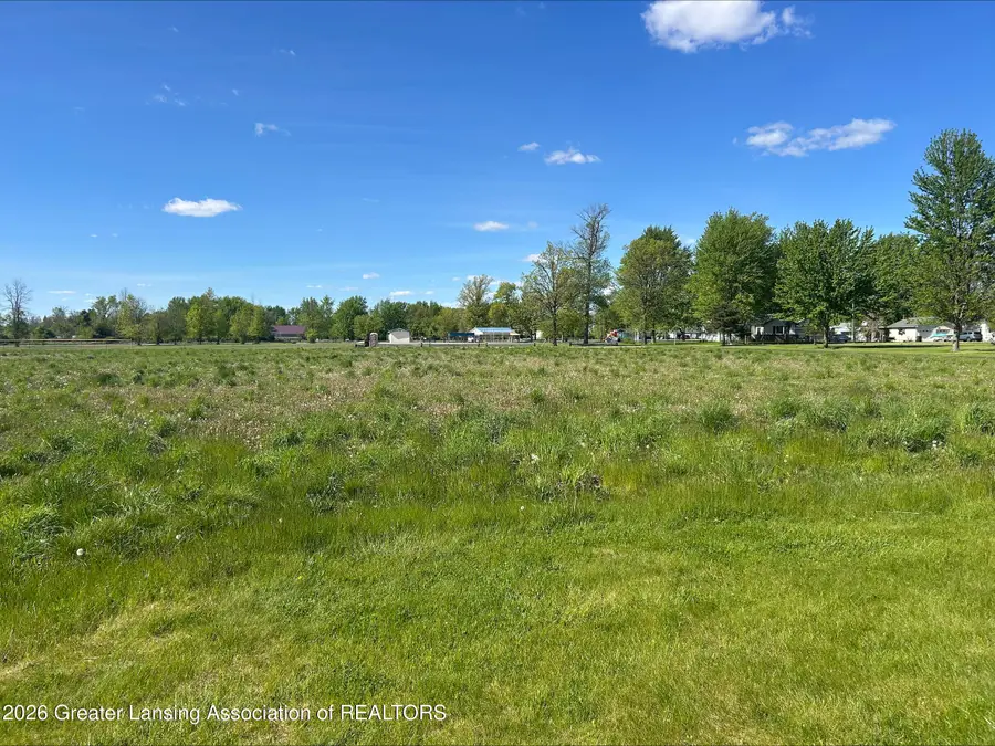 1 W Wallace Street, Ashley, MI 48806 - #2