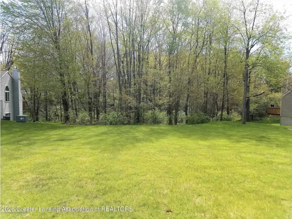 302 Blossom Drive, Portland, MI 48875 - #1