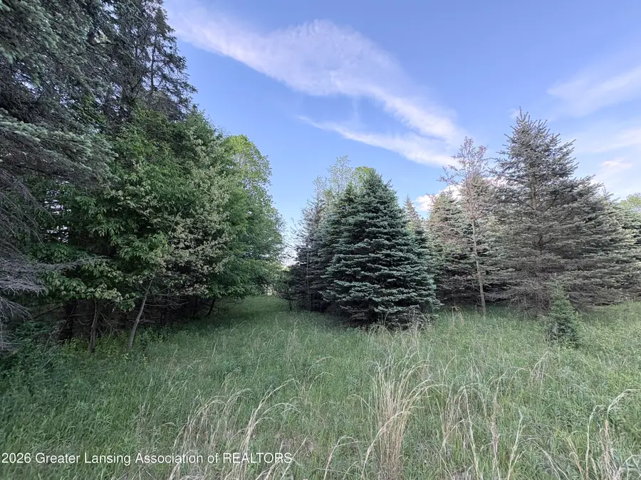 0 W Riverside Drive, Ionia, MI 48846 - #3