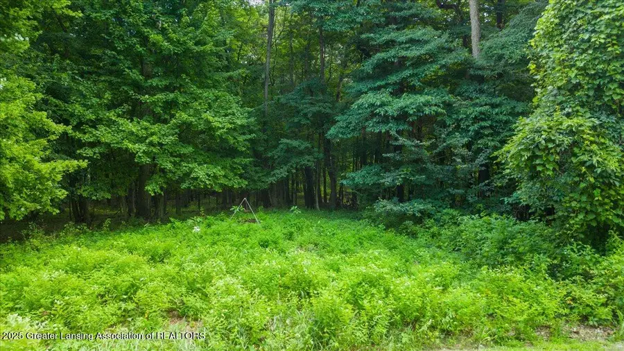 5675 Iosco Mountain Road, Gregory, MI 48137 - #3