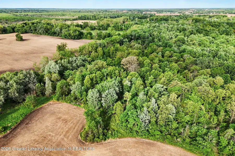 0 N Royston Road, Grand Ledge, MI 48837 - #2