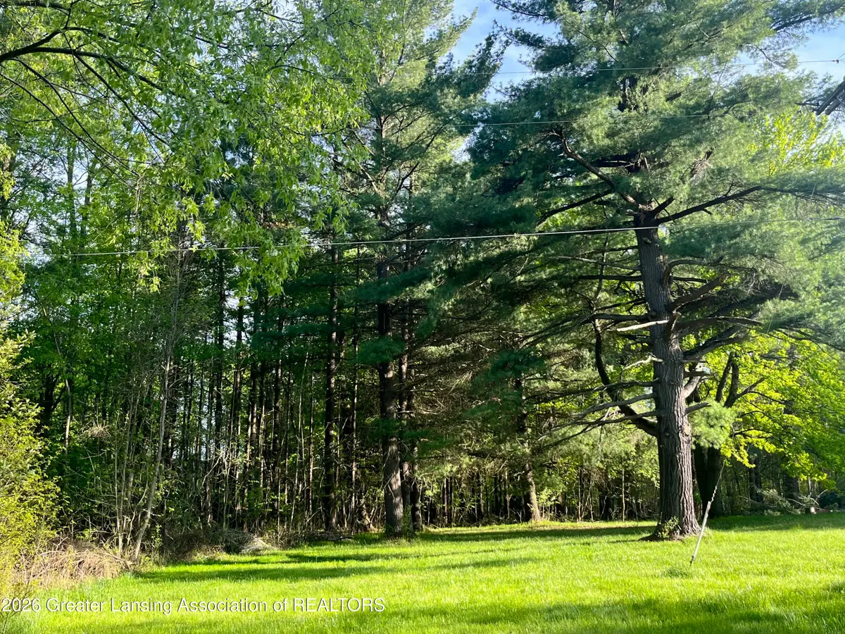 11000 W Monroe Road, Riverdale, MI 48877 - #1