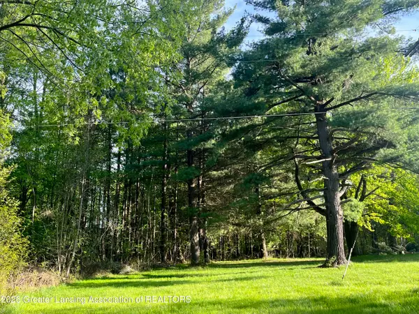 11000 W Monroe Road, Riverdale, MI 48877