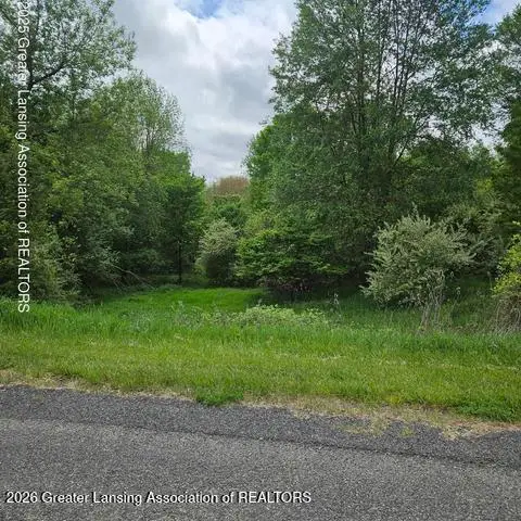 0 Woodlawn Court, Perrinton, MI 48871 - #1