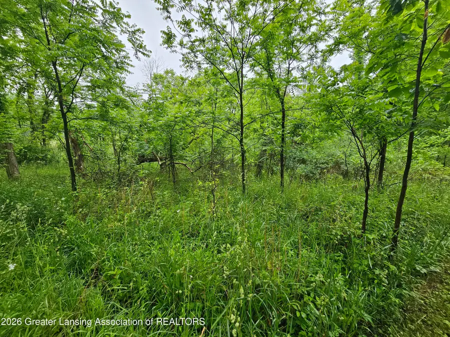 14540 S Wacousta Road, Grand Ledge, MI 48837 - #3