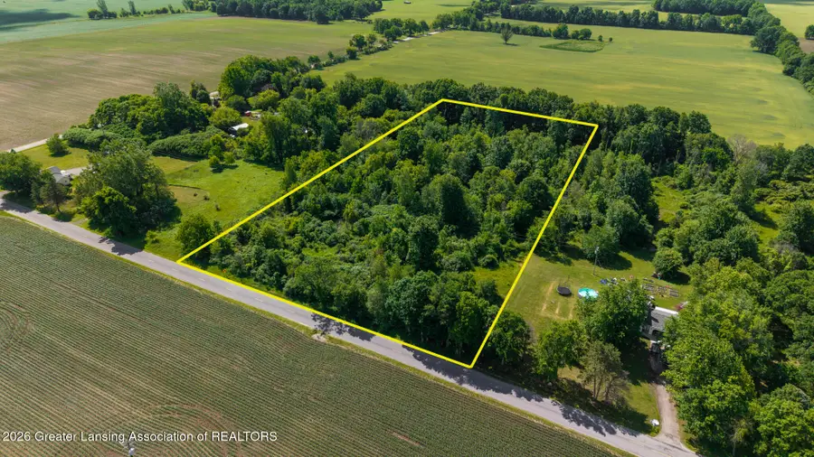 V/l Moyer Road, Williamston, MI 48895 - #3
