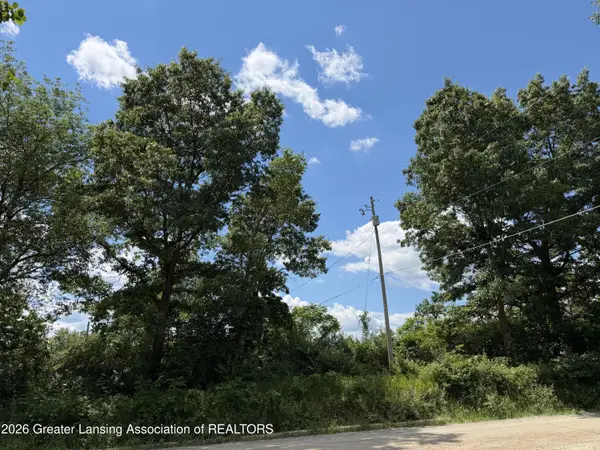 17019 Bass Lake Avenue, Gowen, MI 49326