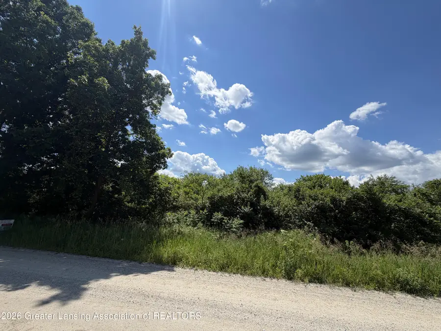 17019 Bass Lake Avenue, Gowen, MI 49326 - #2