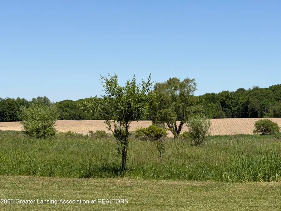 5770 W Columbia Road, Mason, MI 48854 - #3