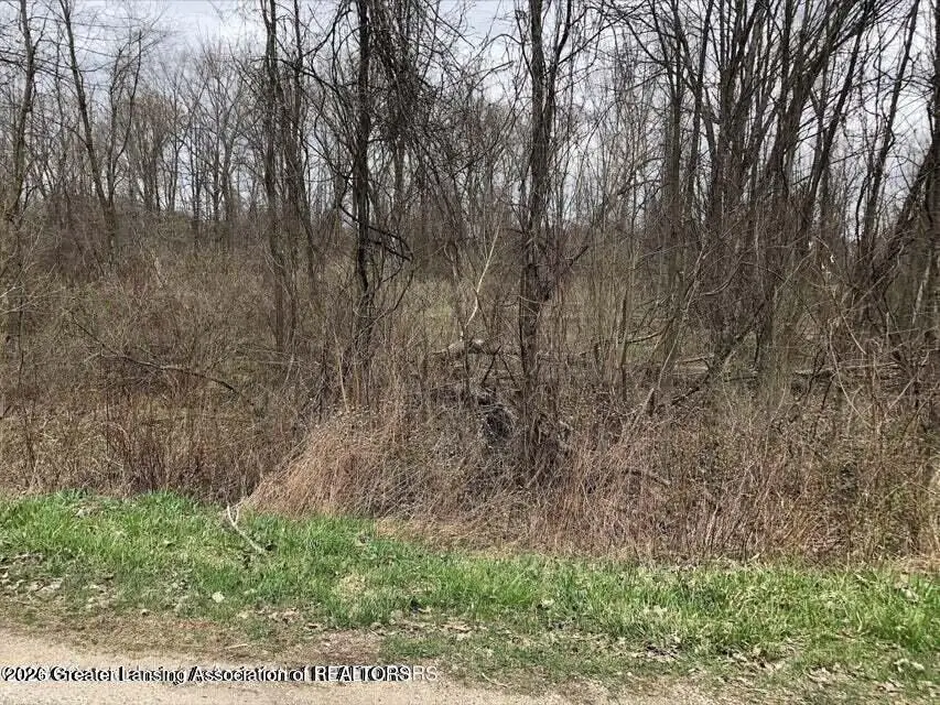 102 Lakeside Drive, Perrinton, MI 48871 - #3