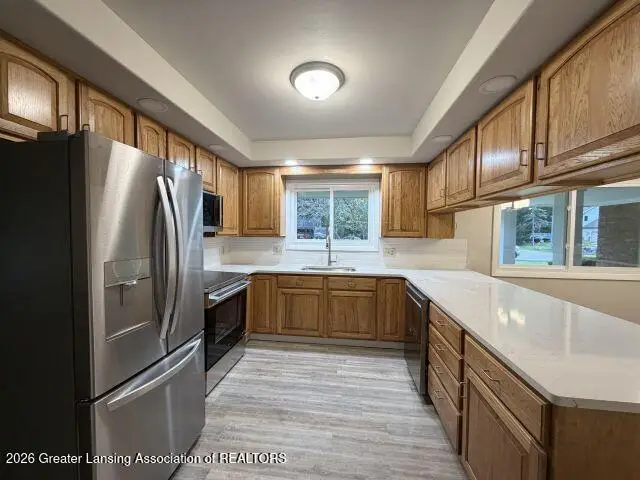11062 Lema Street, Grand Ledge, MI 48837 - #3