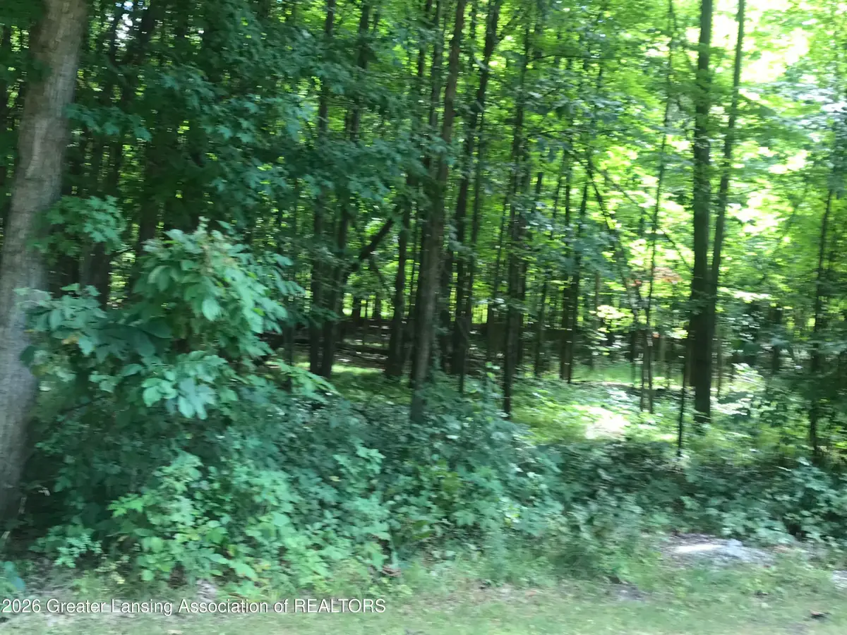 V/l #10 Brookshire Drive, Chesaning, MI 48616 - #1