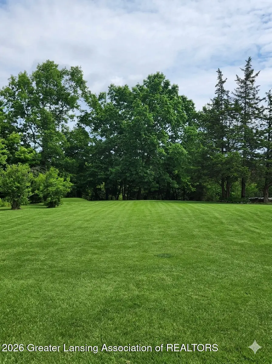 6980 Bowerman Road, Horton, MI 49246 - #1