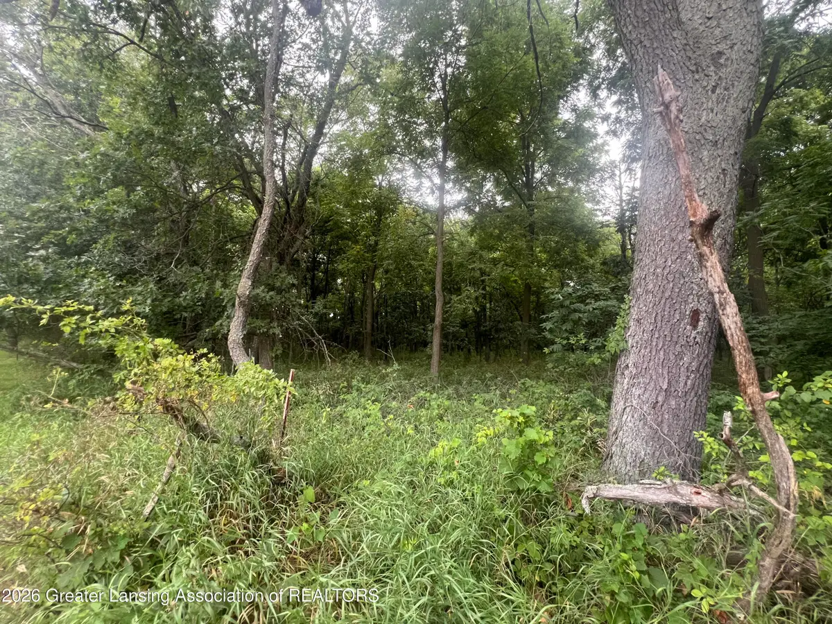 0 M-50, Eaton Rapids, MI 48827 - #1