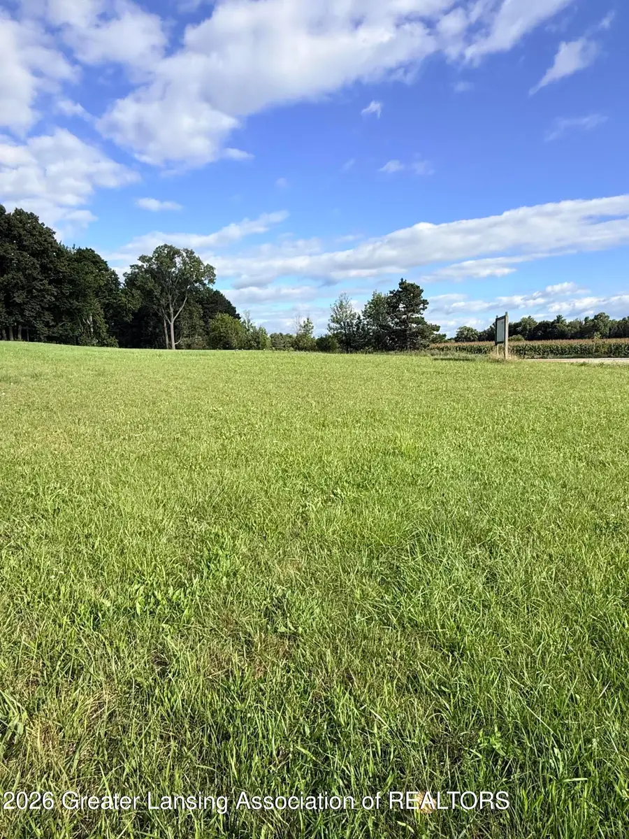 V/l Chicory, Portland, MI 48875 - #3