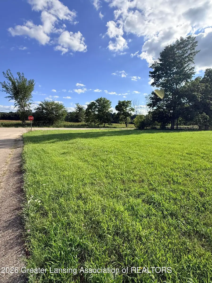 V/l Chicory, Portland, MI 48875 - #2