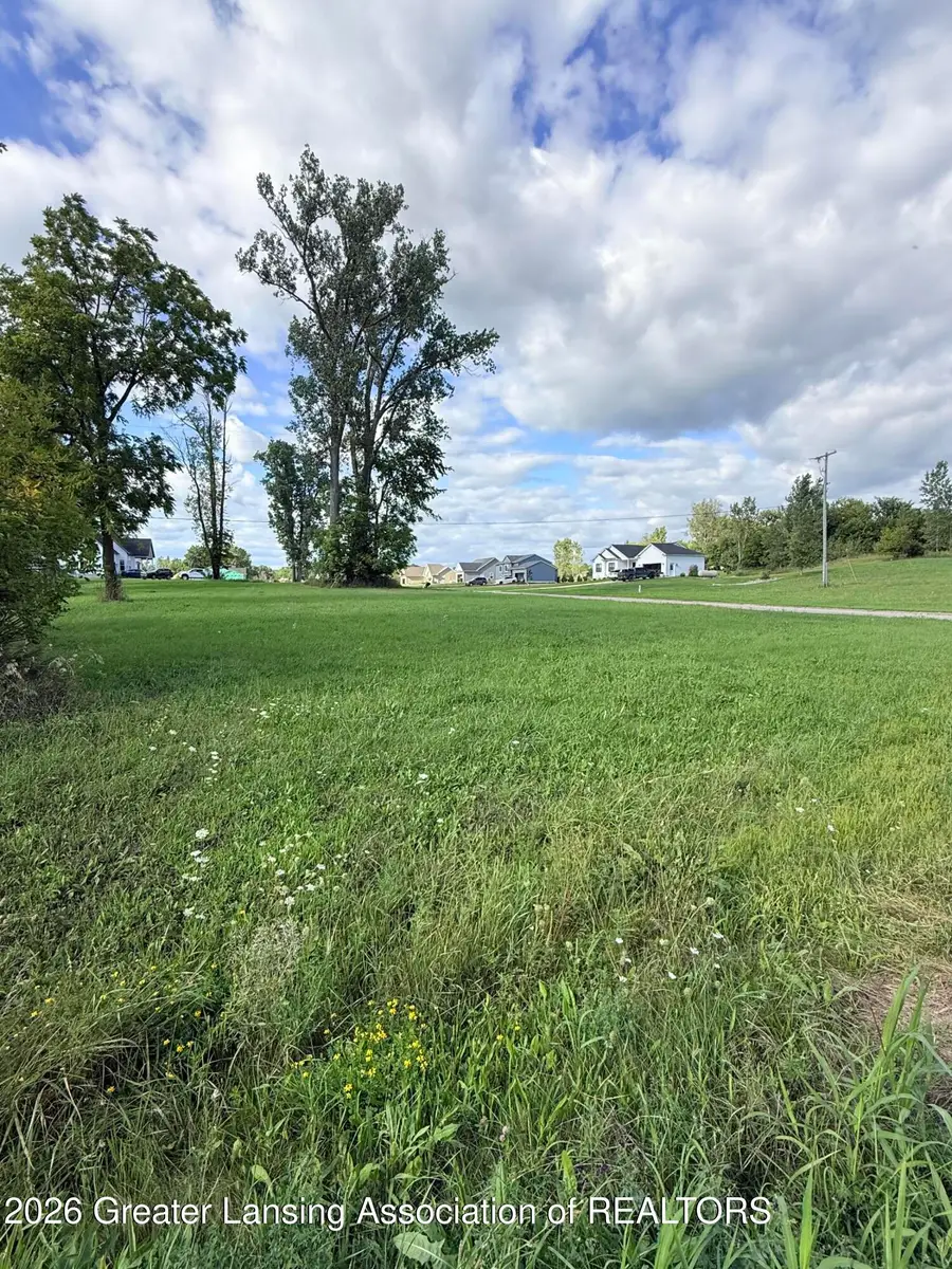 V/l Chicory, Portland, MI 48875 - #3