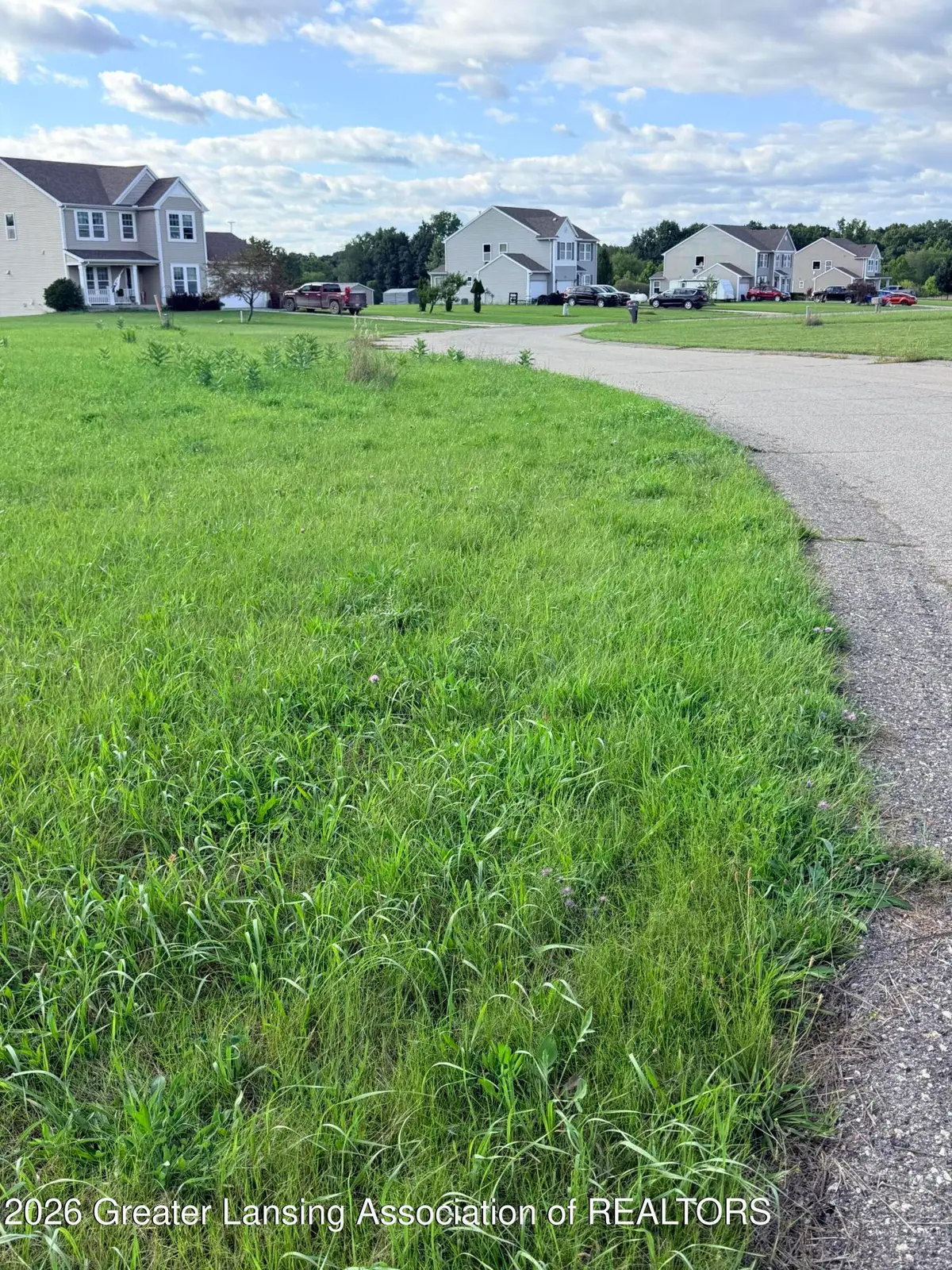 V/l Meadowrue, Portland, MI 48875 - #1