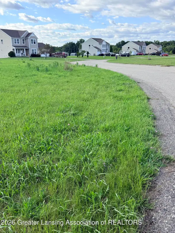 V/l Meadowrue, Portland, MI 48875