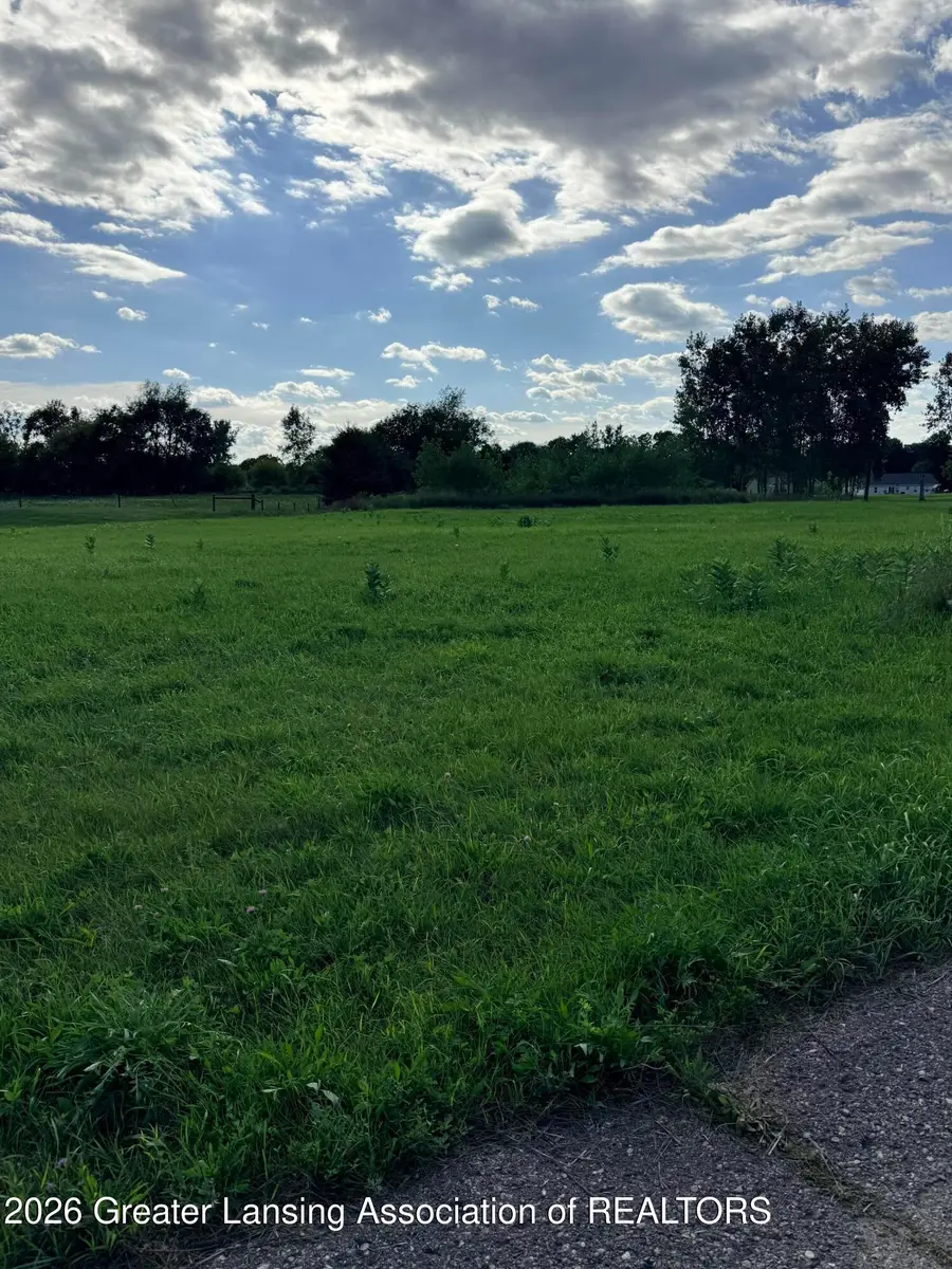 V/l Meadowrue, Portland, MI 48875 - #2