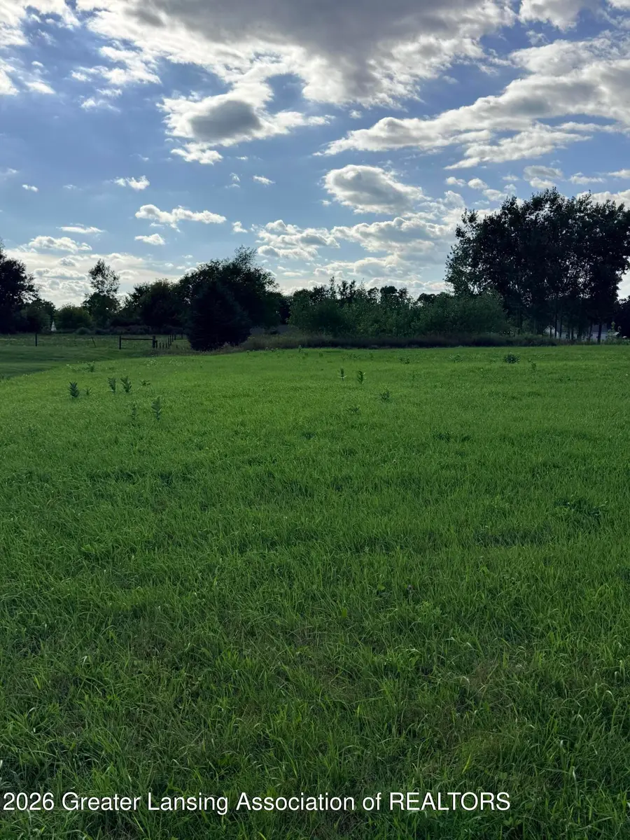 V/l Meadowrue, Portland, MI 48875 - #3
