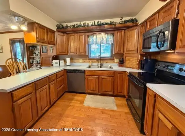 5125 N Williams Road, Saint Johns, MI 48879 - #2