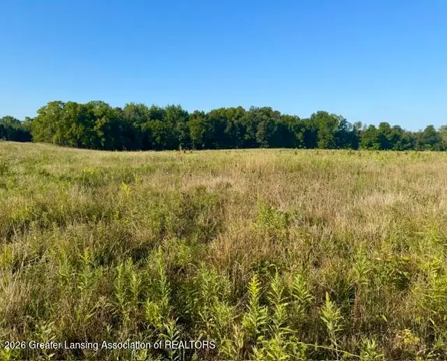 12280 S Wacousta Road, Eagle, MI 48822 - #1