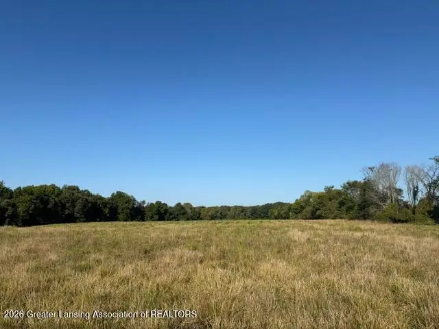 12280 S Wacousta Road, Eagle, MI 48822 - #3