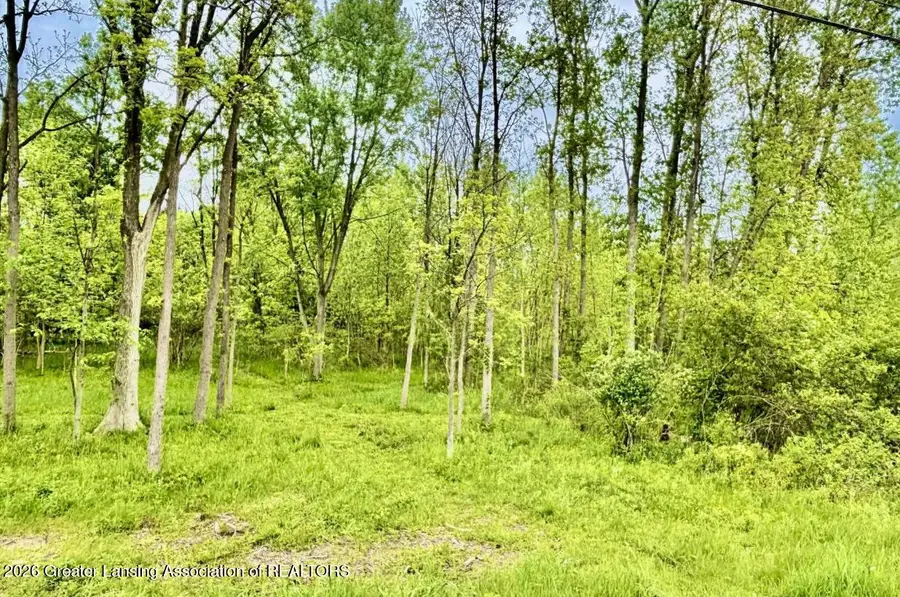 Lot B  0 W Willow Highway, Lansing, MI 48917 - #3